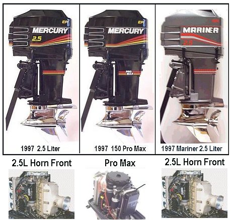 Large_2-5_with_horns